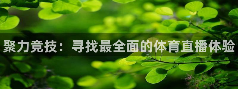 178直播体育app官网下载app新版.最新进.org