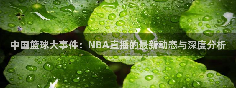 178体育直播在线直播