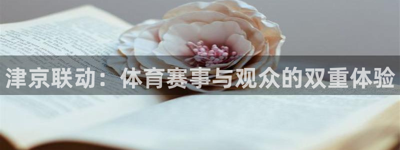 178体育直播免费观看：津京联动：体育赛事与观众的双重体验