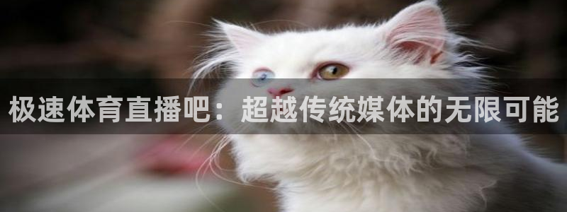 178zb2直播体育：极速体育直播吧：超越传统媒体的无限可能