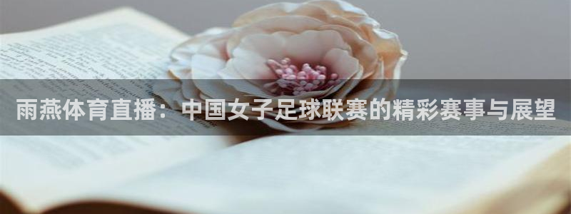 178直播体育赛事nba新版.好游网.org：雨燕体育直播：中国女子足球联赛的精彩赛事与展望
