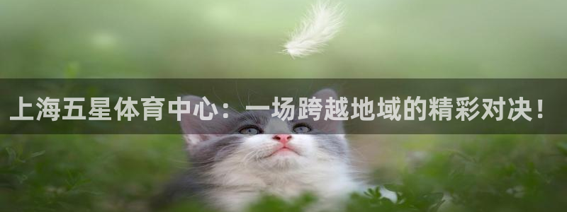 足球直播 178：上海五星体育中心：一场跨越地域的精彩对决！