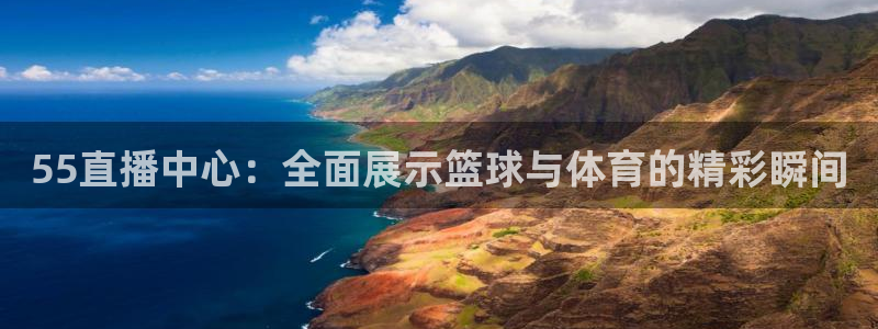 178足球直播体育：55直播中心：全面展示篮球与体育的精彩瞬间