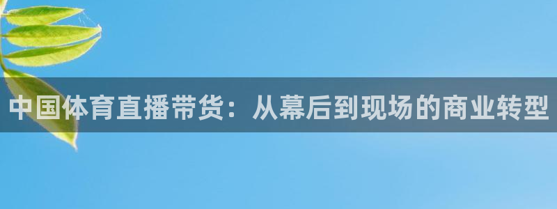 178足球直播免费高清在线：中国体育直播带货：从幕后到现场的商业转型