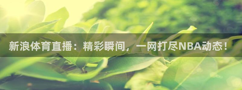 178足球直播在线：新浪体育直播：精彩瞬间，一网打尽NBA动态！