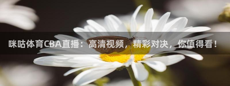 178直播2直播足球直播：咪咕体育CBA直播：高清视频，精彩对决，你值得看！